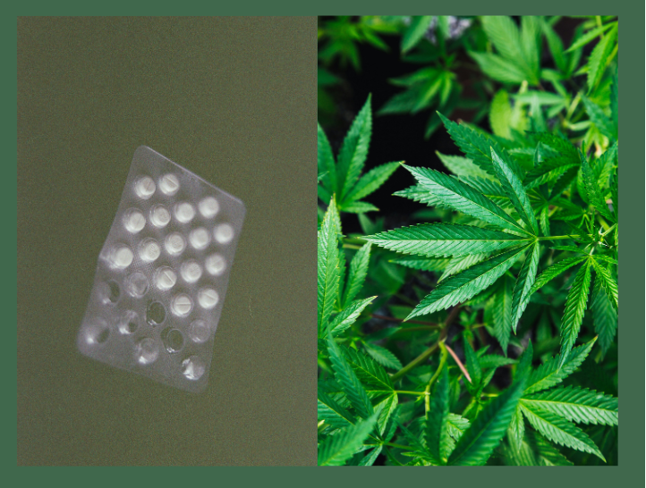 Weed and Accutane: Recognizing the Dangers and Being Safe