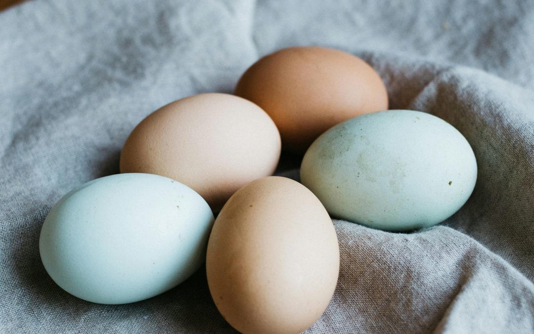 Do Eggs Cause Acne?